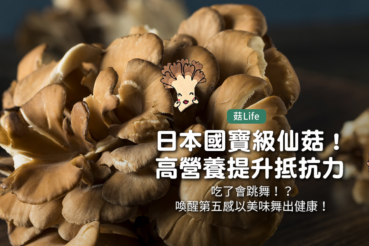 日本國寶級仙菇!高營養提升抵抗力