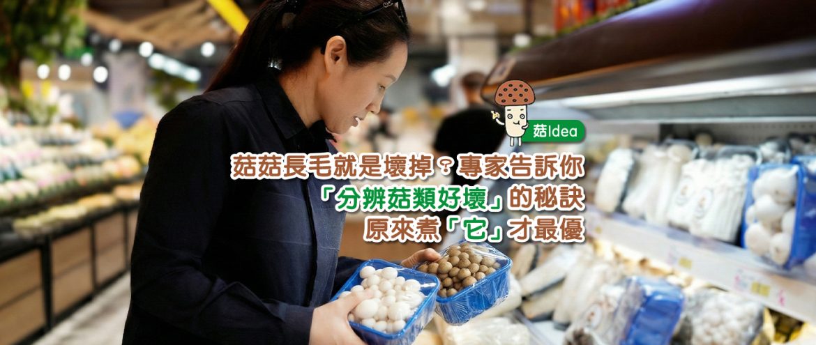 菇菇長毛就是壞掉?專家告訴你「分辨菇類好壞」的秘訣 原來煮「它」才最優